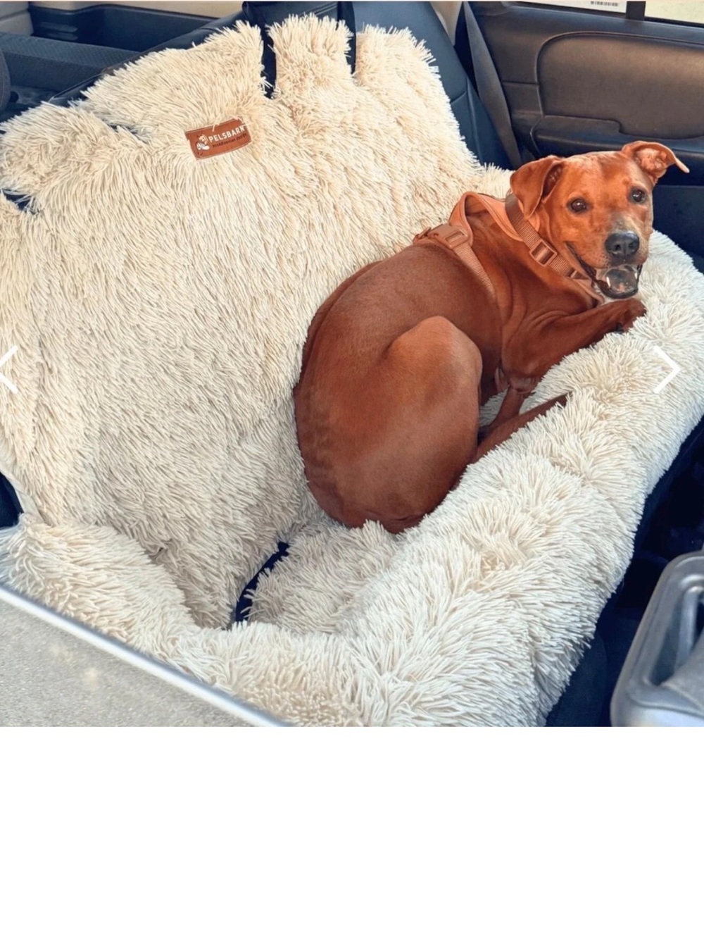 Pelsbarn XL Plush Dog Bed Car Seat Plush Beige Couch Large Luxurious Soft Pet